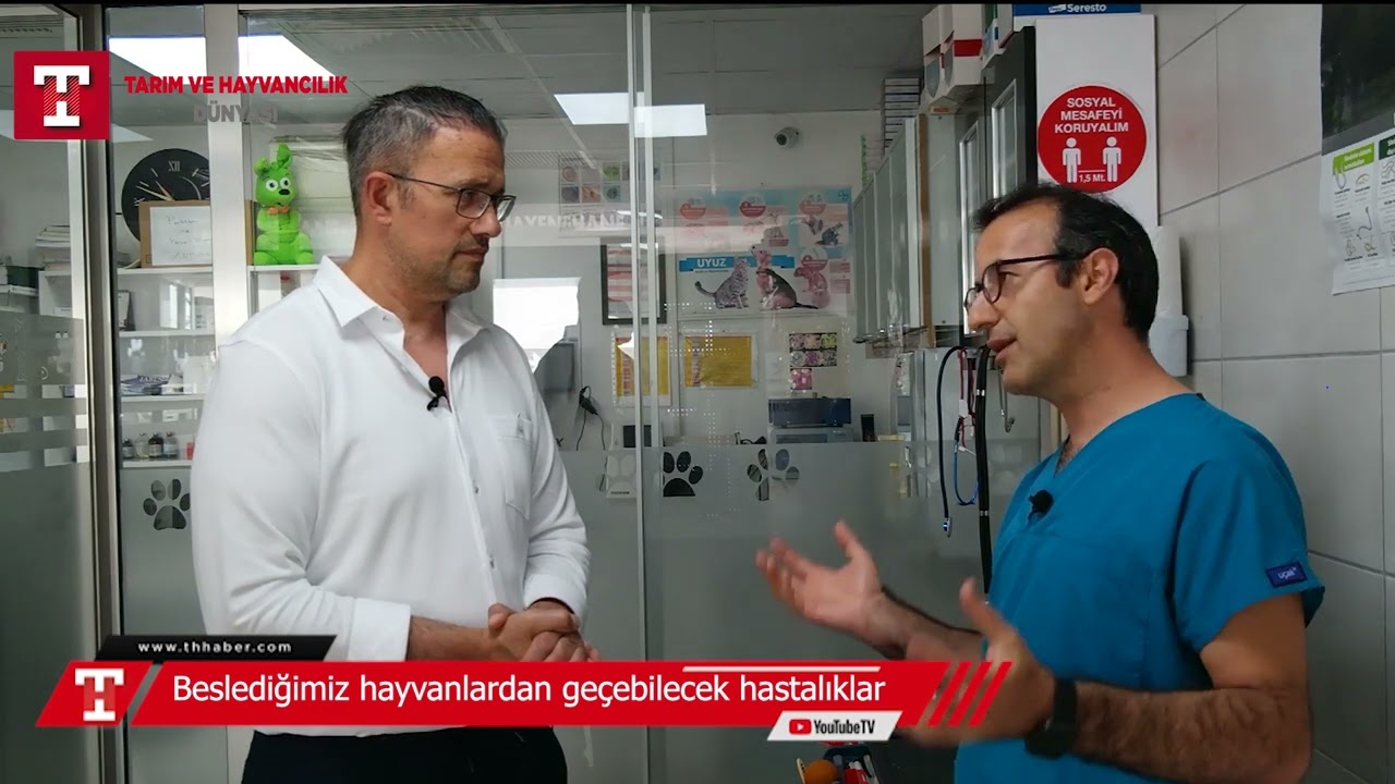 Evde beslediğimiz hayvanlardan geçen hastalıklar