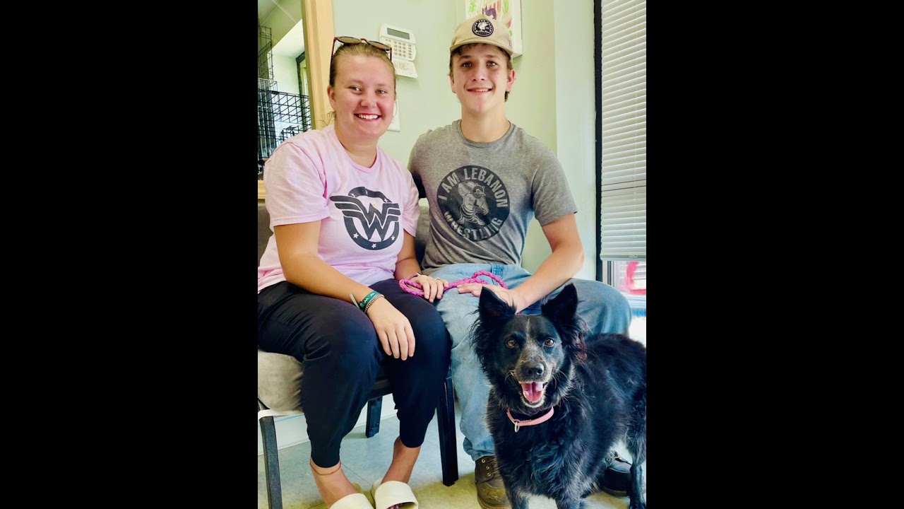 Pet of the Week with Claws & Paws