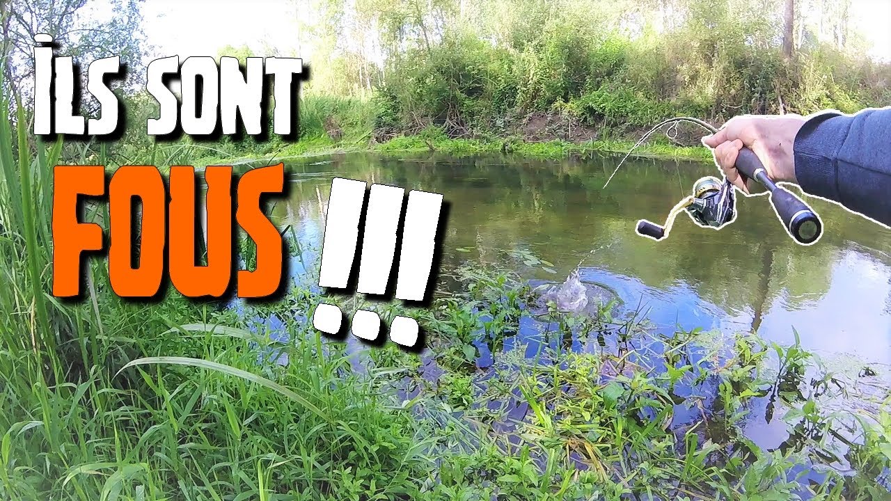 Pêche en rivière : Ils sont fous !!!