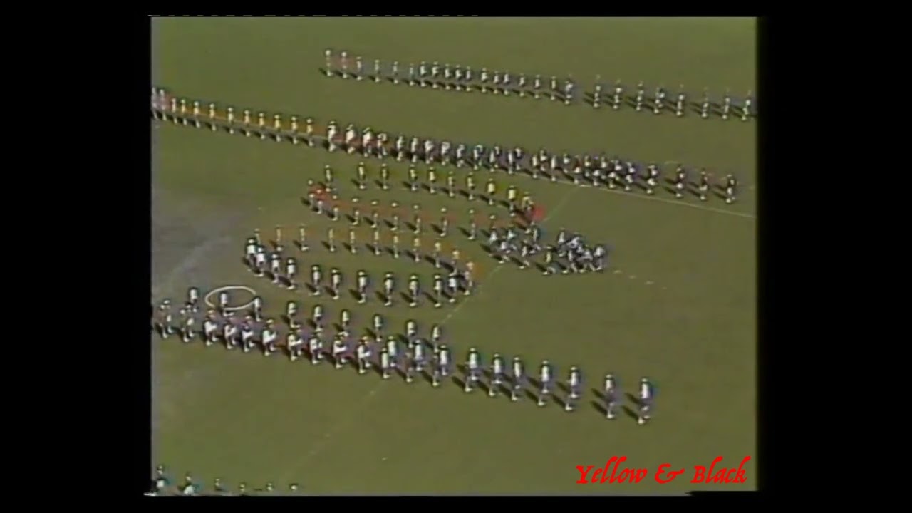 1977 VFA Grand Final Port Melbourne v Sandringham