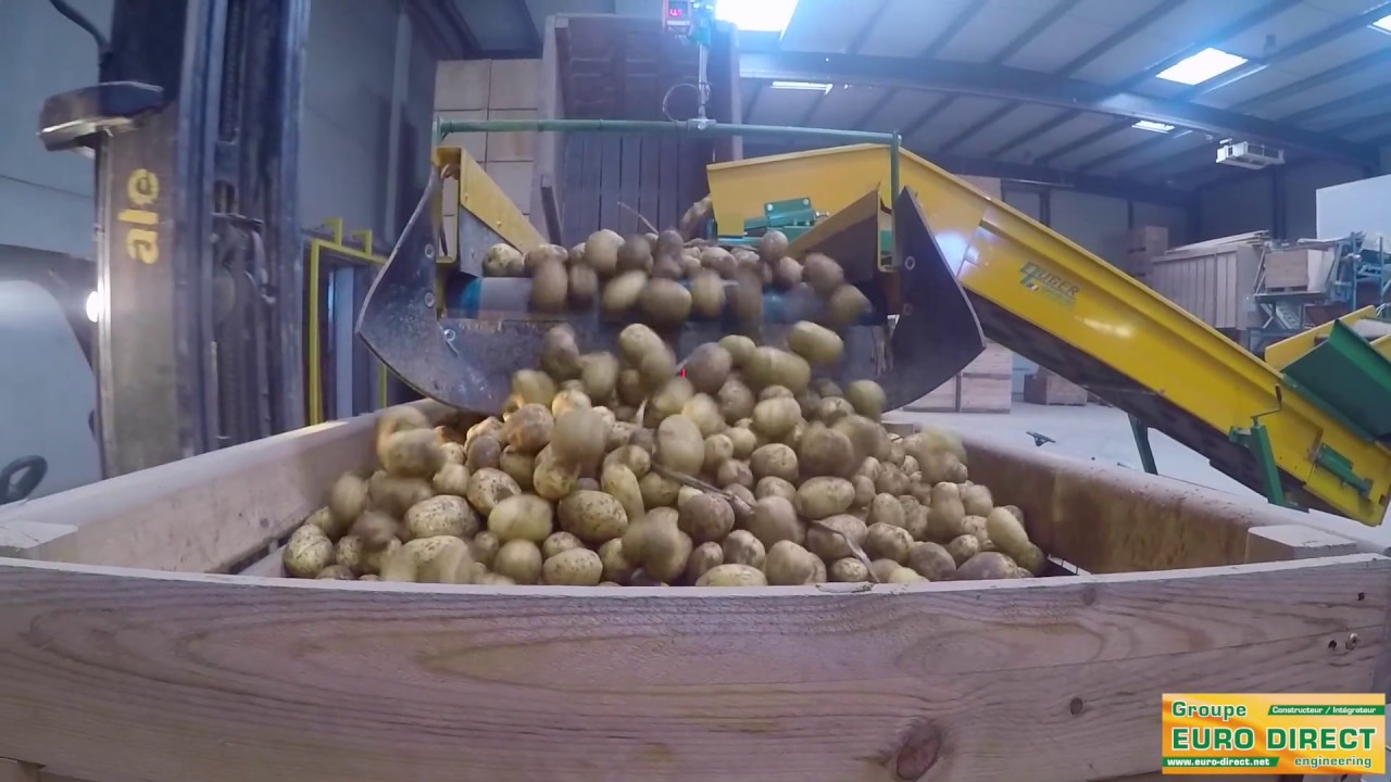 Remplisseur de caisses Groupe euro direct / Auger pour les pommes de terre