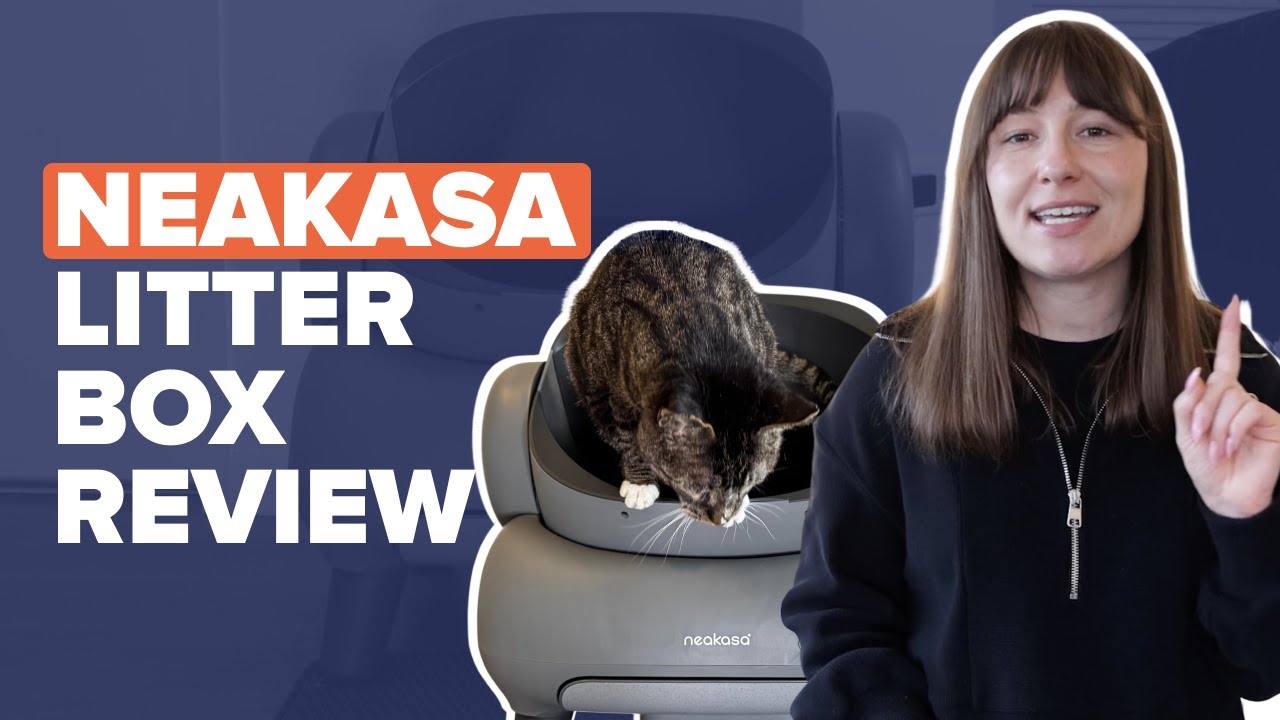 Neakasa Automated Litter Box Review