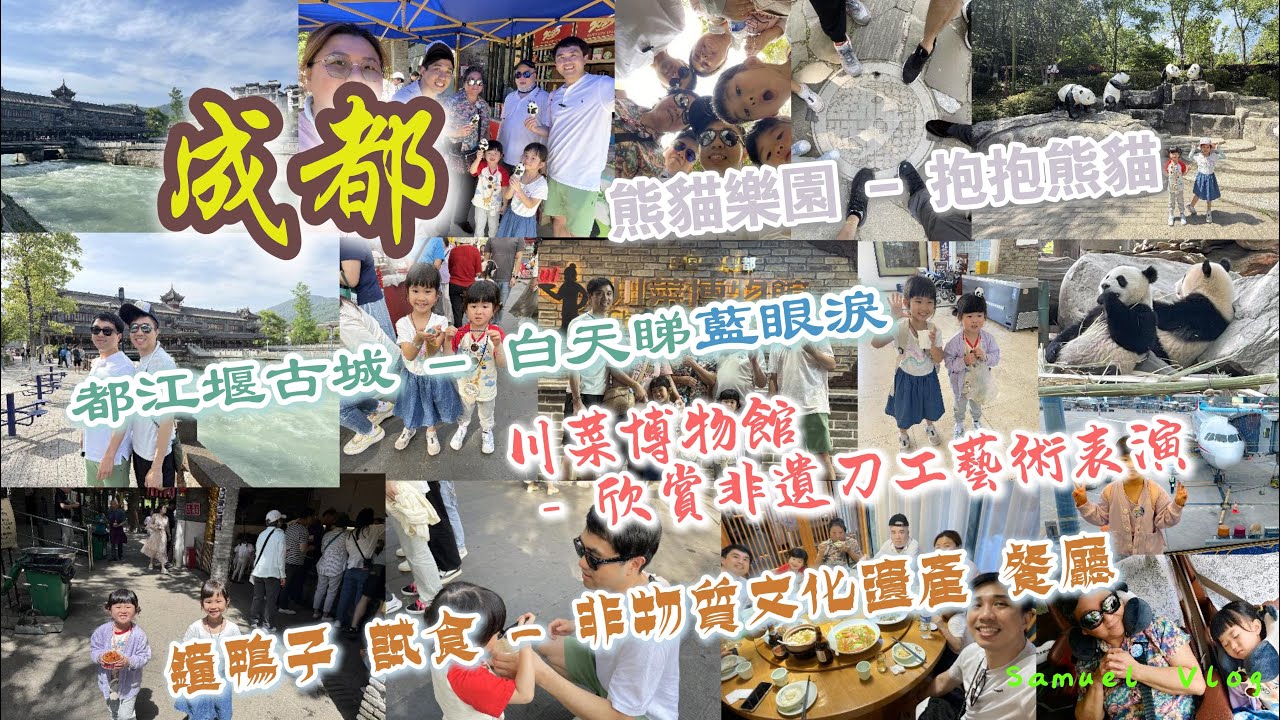 【家庭遊系列-四川成都篇】 到埗已天黑黑, 回到酒店宵夜食水餃｜川菜博物館 試園林餐廳 睇大刀金絲麵表演 學炒宮保雞丁｜參觀都江堰熊貓樂園 熱到熊貓也瘋狂｜都江堰 我的藍眼淚呢｜鐘鴨子酒樓 一試無妨｜