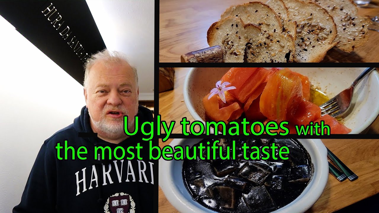 Experience Michelin-Quality Dining Without Breaking the Bank at Bodegon Alejandro in San Sebastian