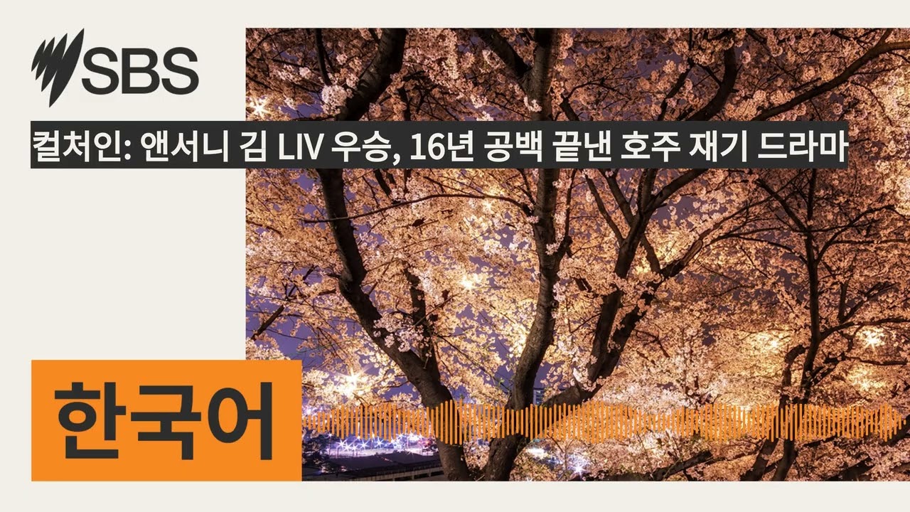 컬처인: 앤서니 김 LIV 우승, 16년 공백 끝낸 호주 재기 드라마 | SBS Korean - SBS 한국어 프로그램