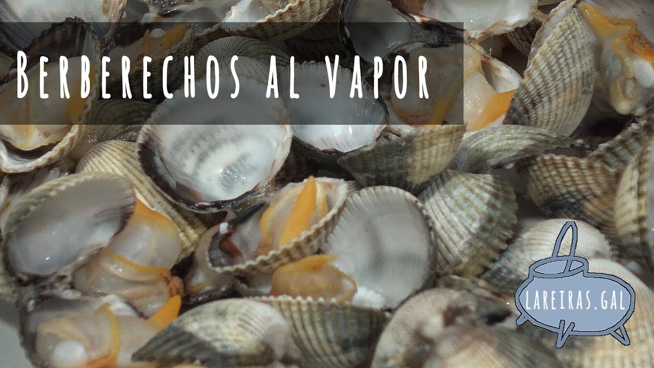 BERBERECHOS AL VAPOR  (AL NATURAL) - Lareiras.gal