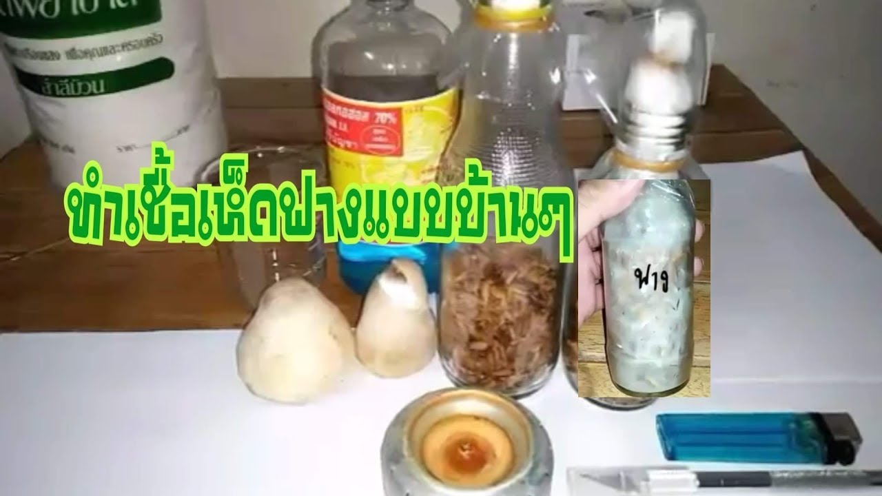 วิธีการทำเชื้อเห็ดฟางแบบบ้านๆตอนที่ 1