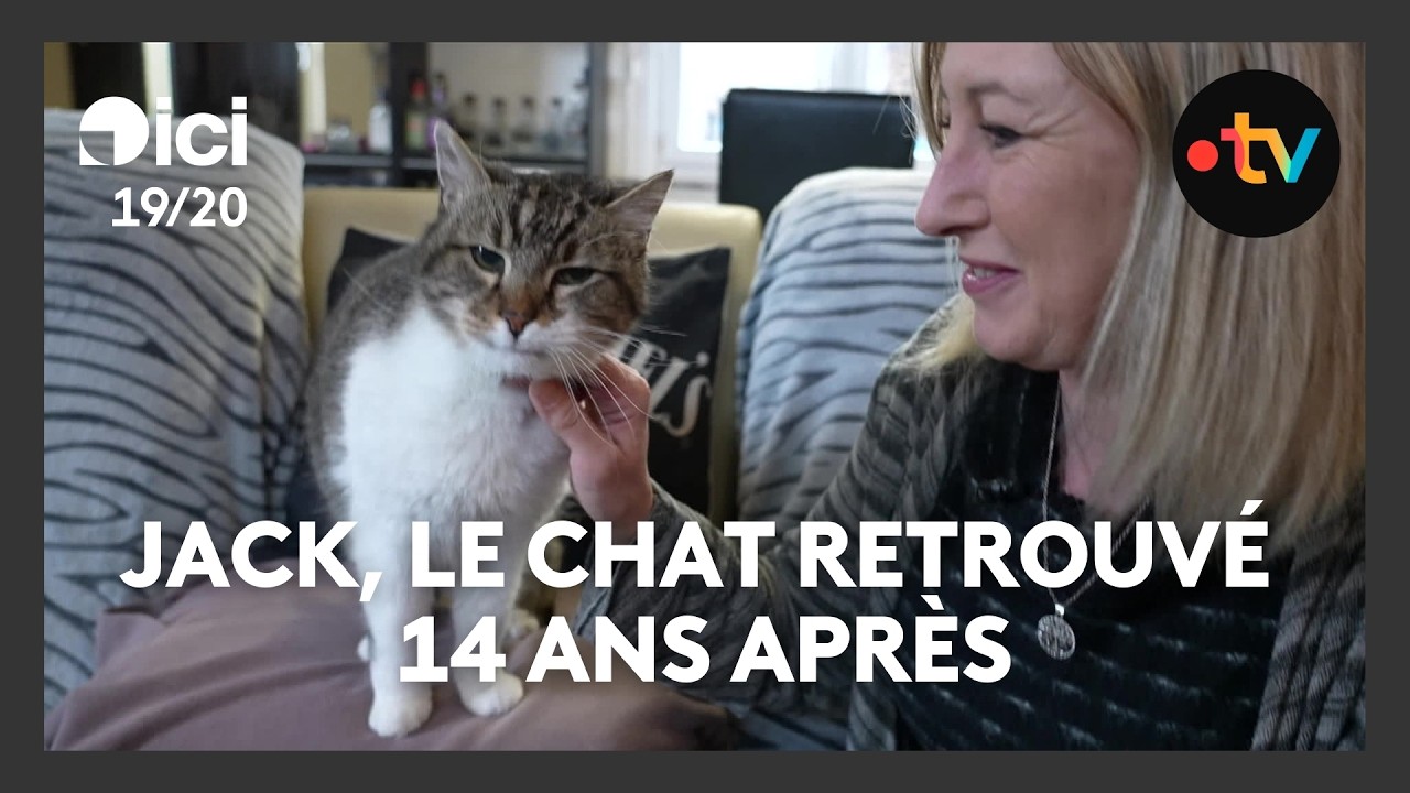 Jack, le chat retrouvé 14 ans après