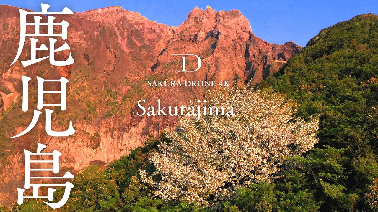 [桜ドローン撮影4K] 鹿児島県桜島の桜 Sakurajima｜桜ドローンプロジェクト