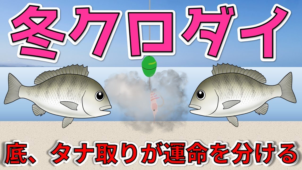 【冬クロダイ】ウキフカセ釣りで狙うボトムのクロダイ