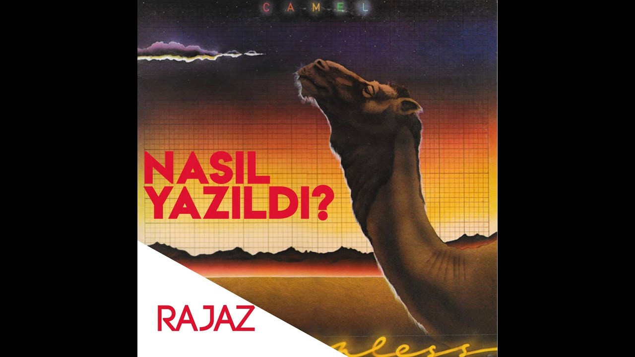 Çölde ki Bir Şarkı Camel Rajaz