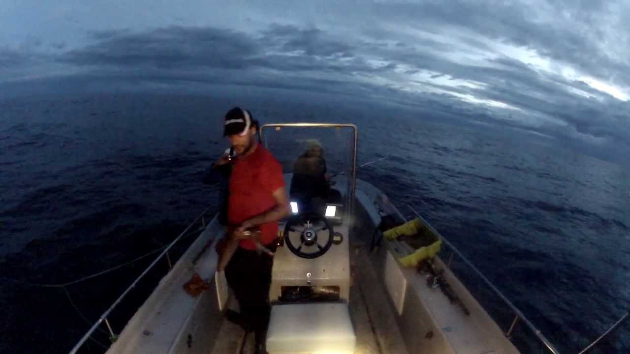 PESCA ARTESANAL DEL CALAMAR  MAR CANTABRICO