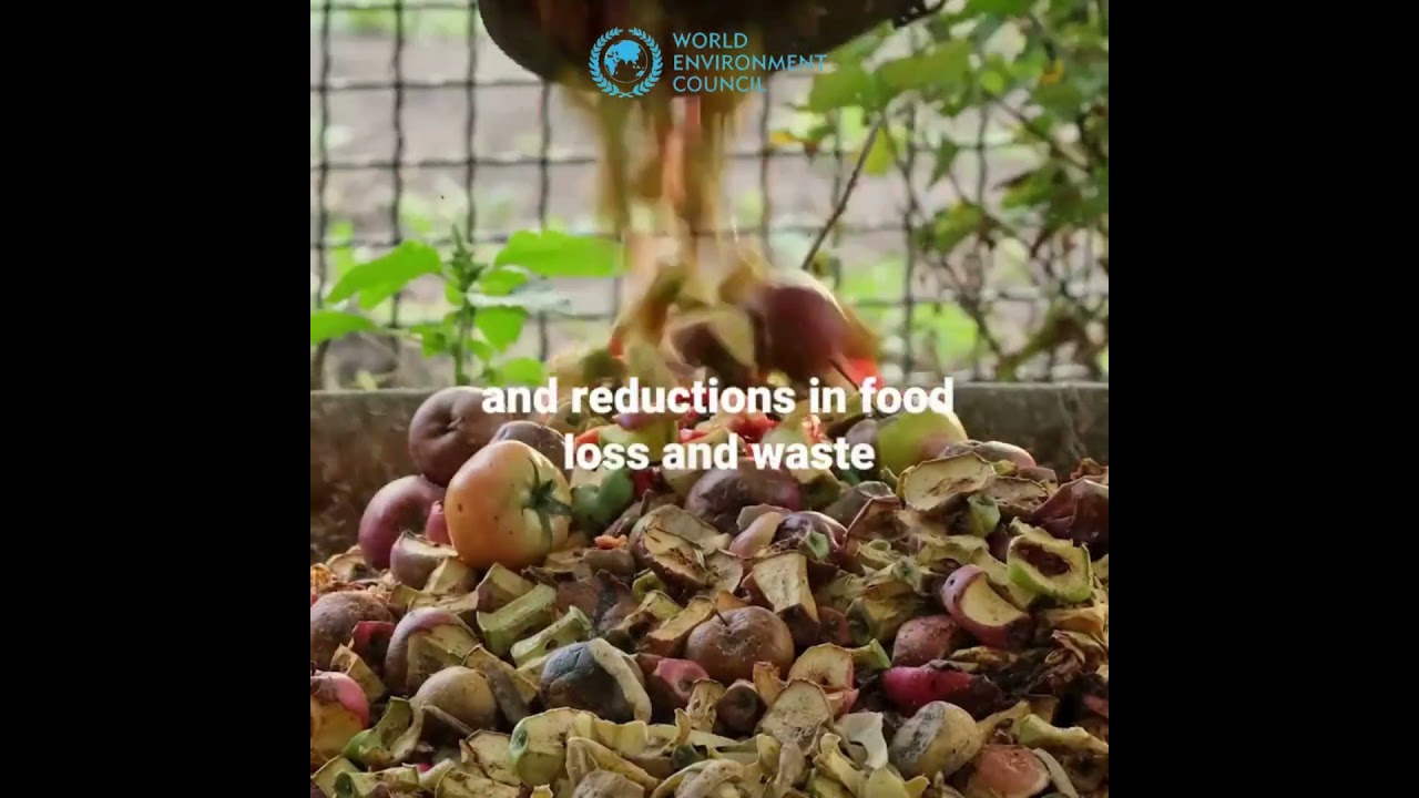 challenging environmental goals.#environmentmatters#climatechange  #sustainability #worldenvironment