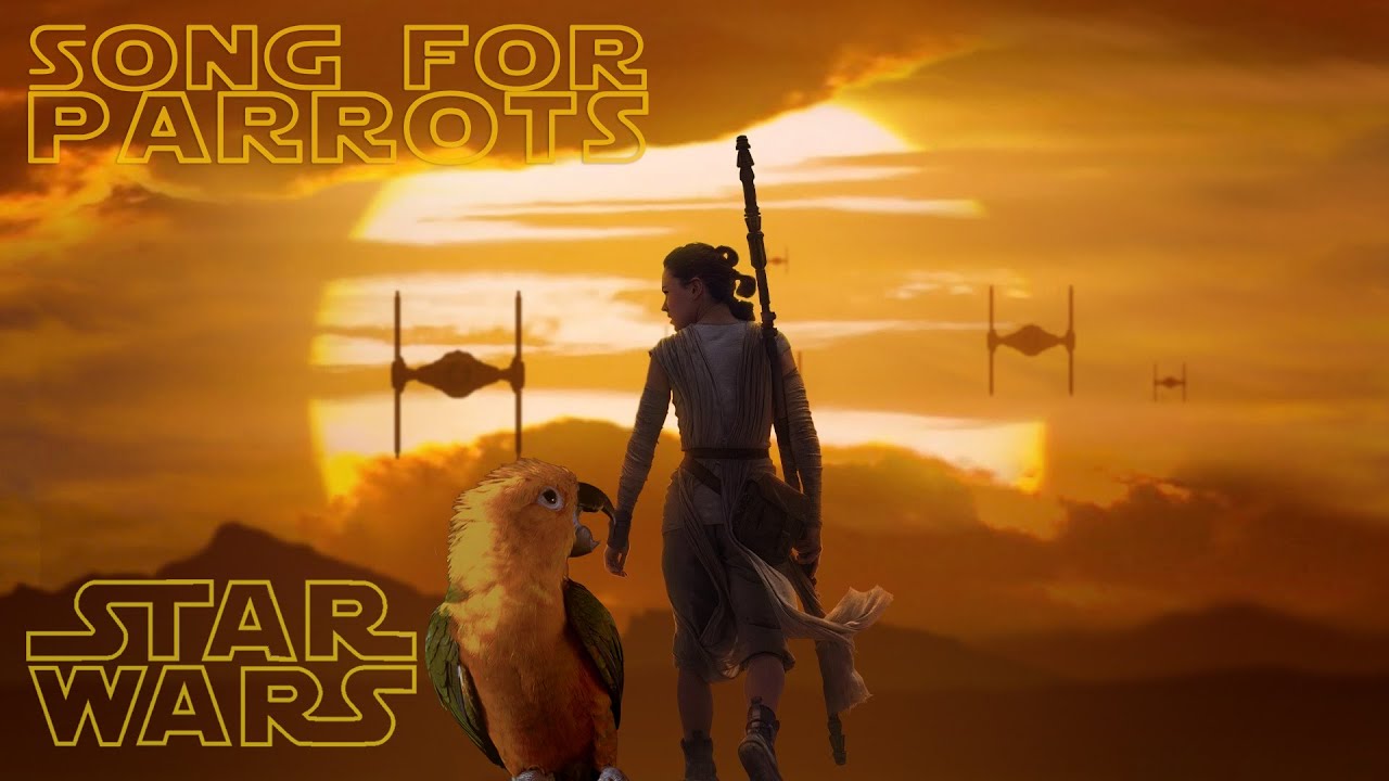 Star Wars - The Force Theme whistle training parrot teach learn / песен за папагали / Bird Song