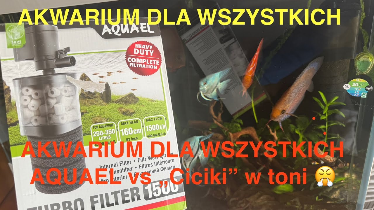 AQUAEL FILTER TURBO 1500 vs drobinki w toni wodnej @AkwariumDlaWszystkich