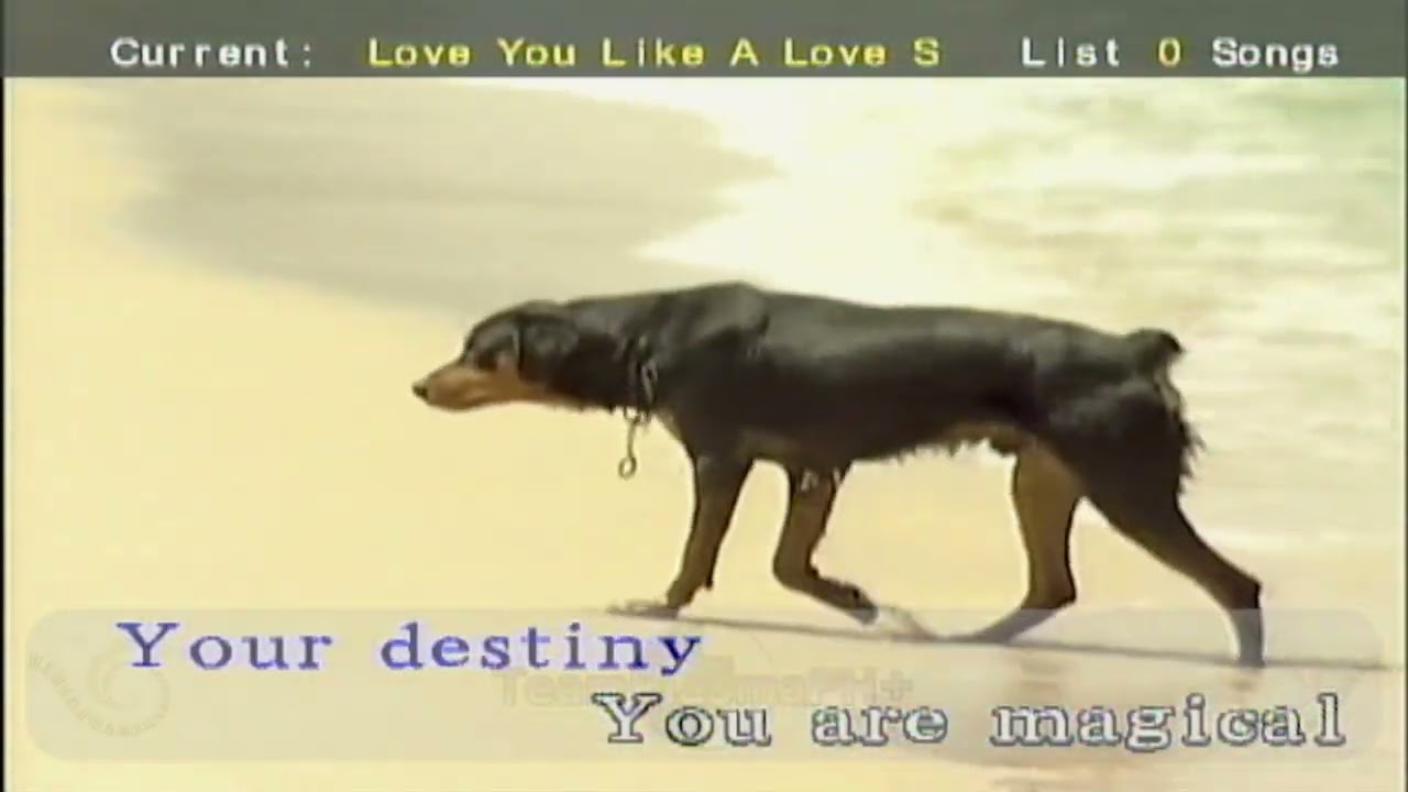 Love You Like a Love Song - Selena Gomez (Karaoke)