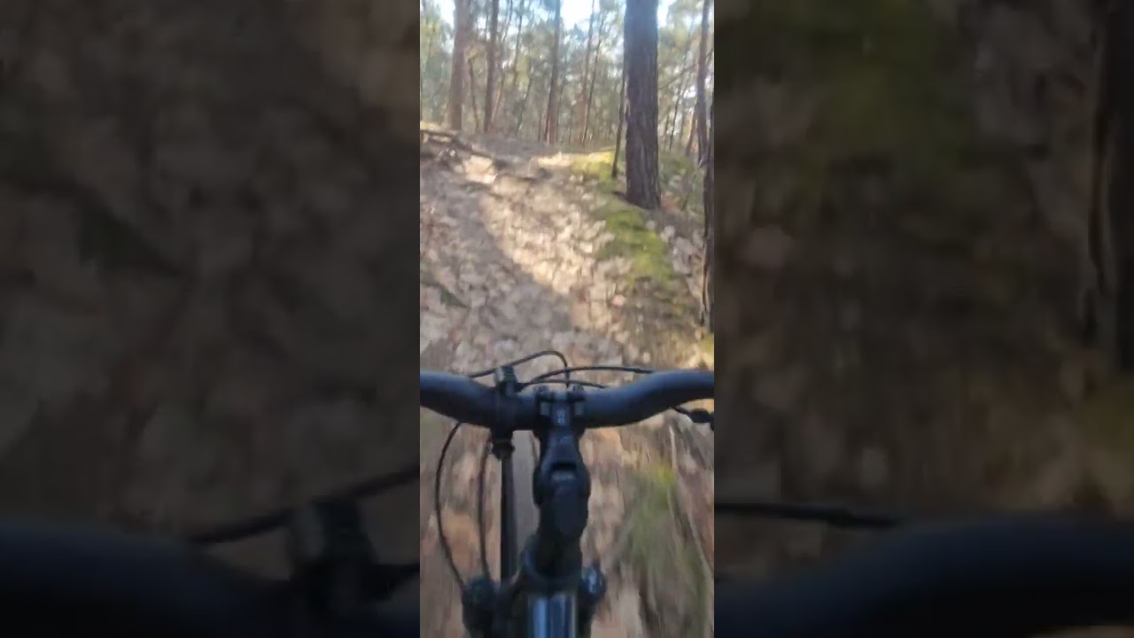 Mountainbike route Baarlo en Heldense bossen 