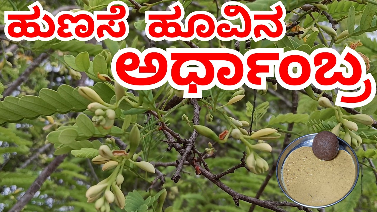 ಹುಣಸೆ ಹೂವಿನ ಕಾಲ ಬರುವ ಮುಂಚೆಯೇ 