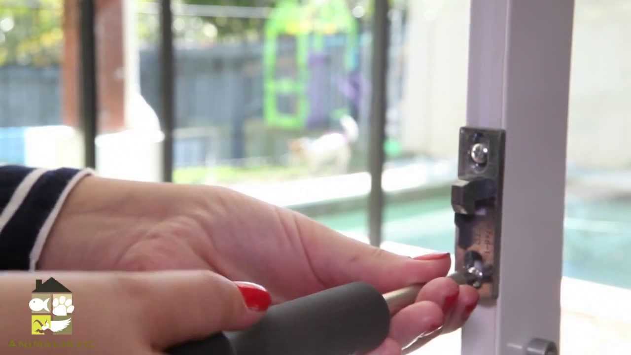 Animalistic pet products Aluminium patio pet door installation