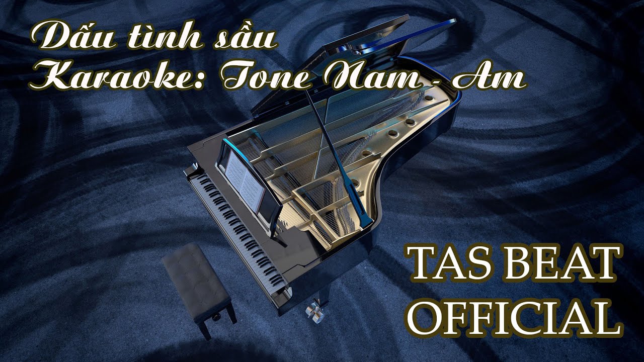 Karaoke Dấu tình sầu - Tone Nam | TAS BEAT