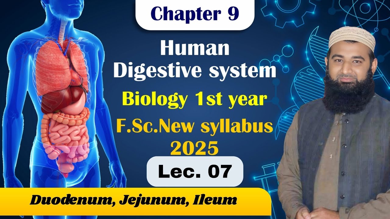 Duodenum, Jejunum, Ileum | Human digestive system | Chapter 9| F.Sc. 1st Year Biology | Lec# 7