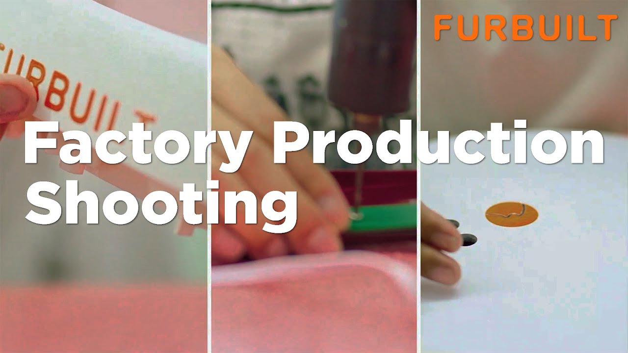 Catbula Pro Factory Sneak Peak