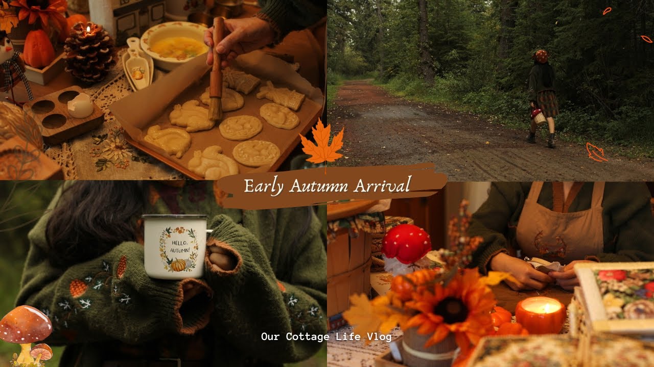 🍂Autumn is Coming 🐿️| 🌧️Rainy and Cozy Days 🍁