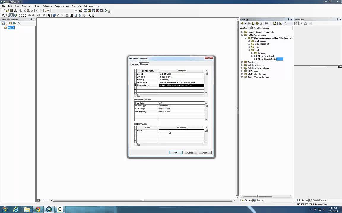 Building File Geodatabases, Domains, Feature Classes and fields