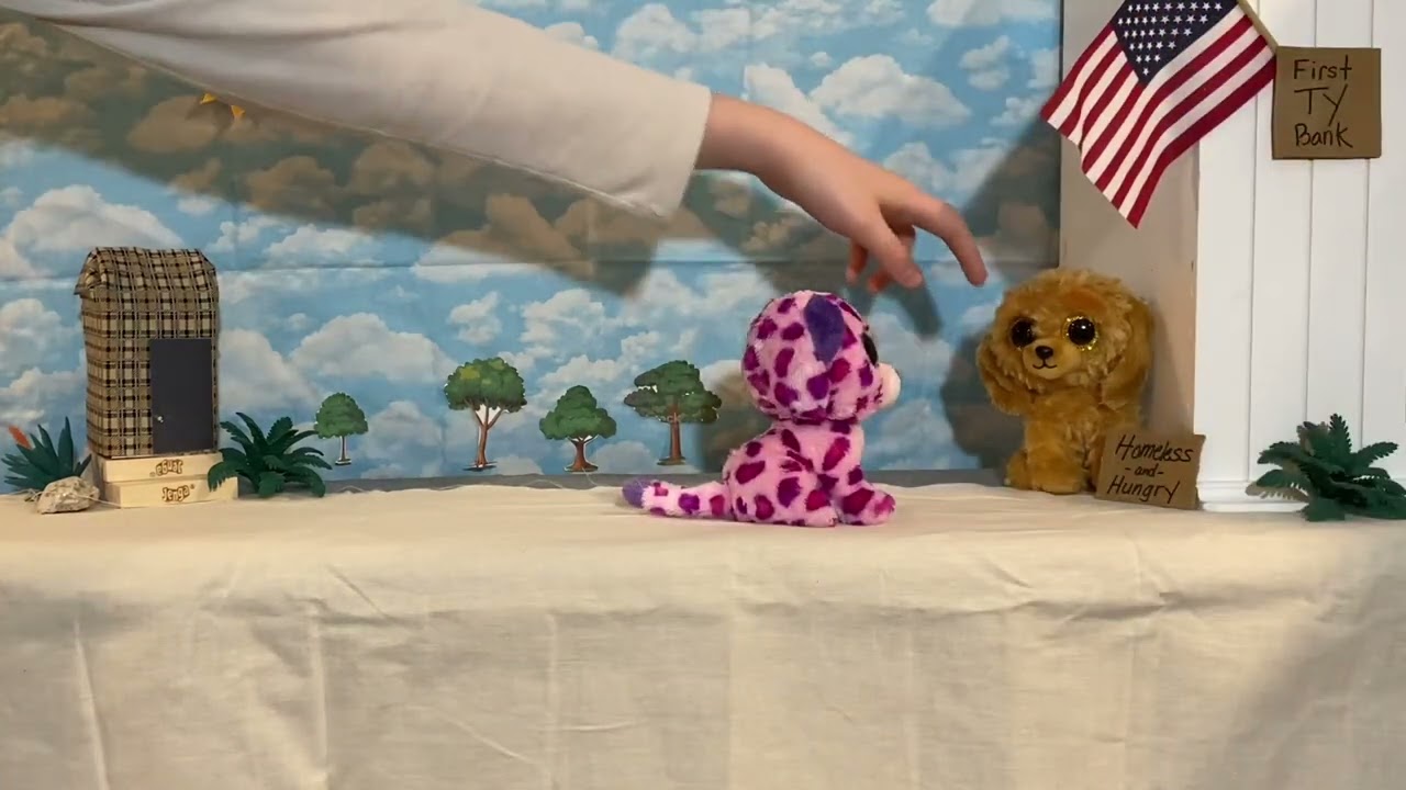 Beanie Boos {Helping Others Part 1}