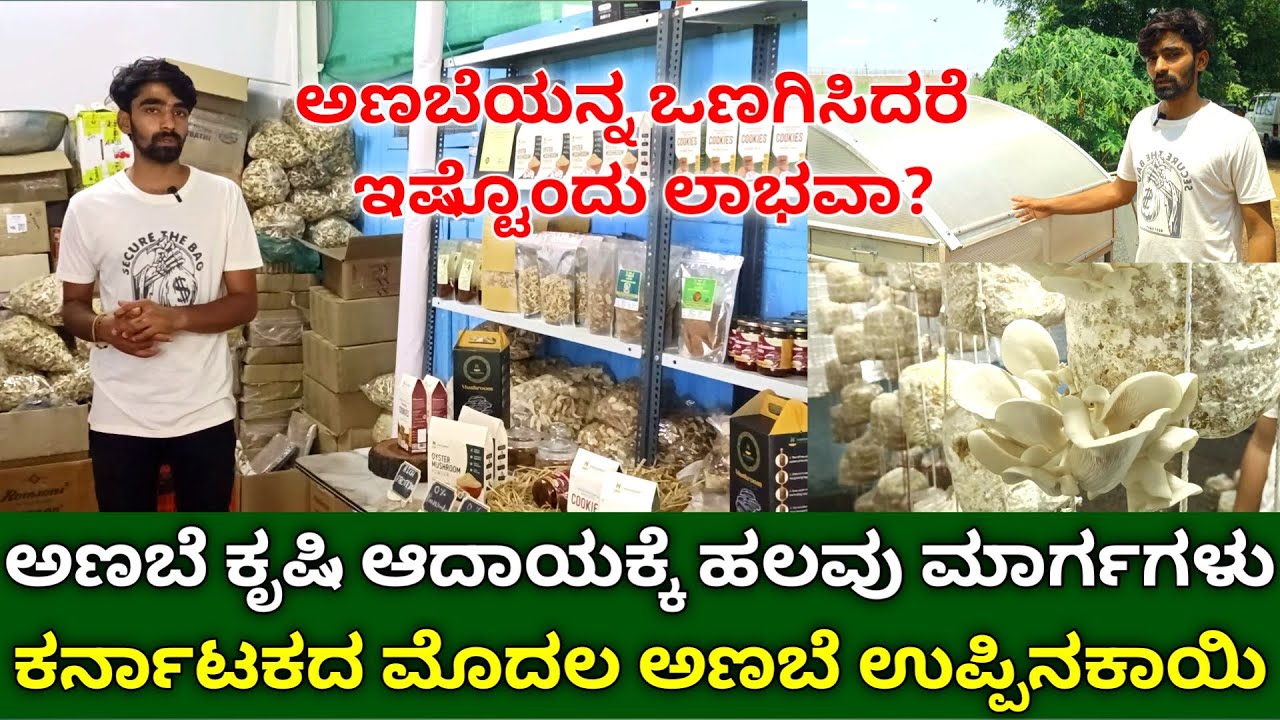 ಕರ್ನಾಟಕದ ಮೊದಲ ಮಶ್ರೂಮ್ ಉಪ್ಪಿನಕಾಯಿ, ಬಿಸ್ಕತ್ತು | Mushroom farming in kannada | Dried Mashroom Products