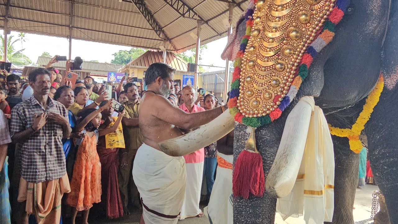 Gajappoja kottarakkara ganapathi.. കൊട്ടാരക്കരയിൽ വിനായക ചതുർത്തിയോടനുബന്ധിച്ച്  നടന്ന ഗജപൂജ