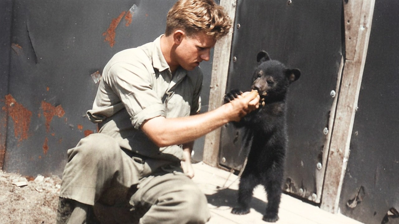 German POWs and Their PETS in Canada during the Second World War
