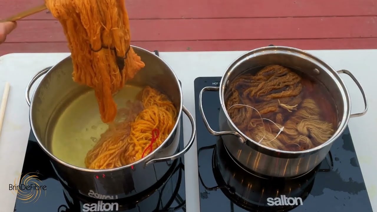 De la toison au tissu!  Étape 4   La teinture  naturelle