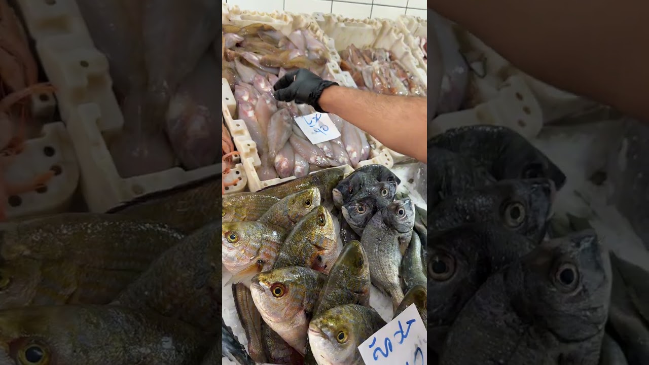 أثمنة السمك 🦐 اليوم السبت 10 يناير 2026 