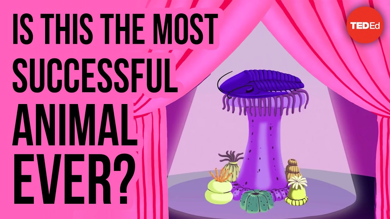 Is this the most successful animal ever? - Nigel Hughes