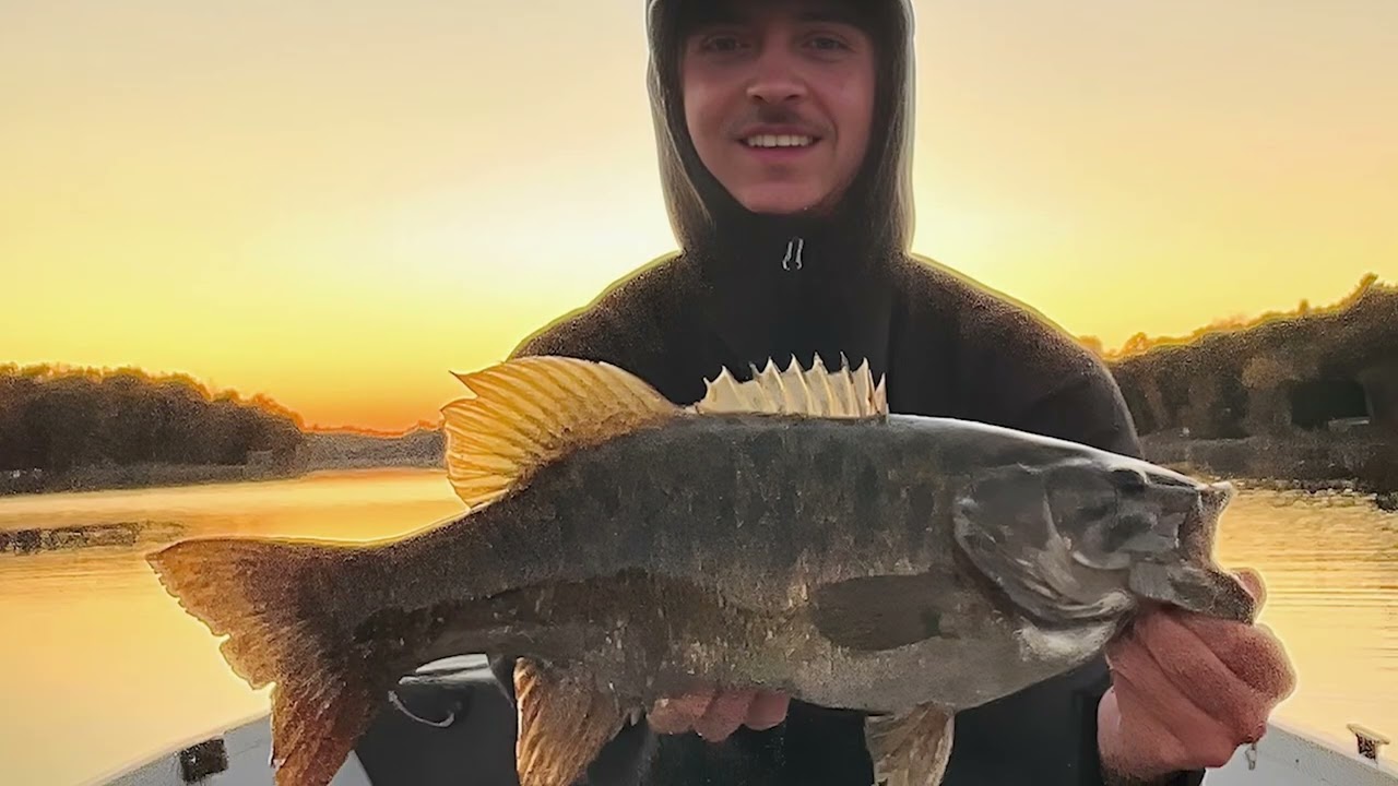 WTBA of Tomorrow 2026 Scholarship Winner - Wilson Baltus (NWTC)