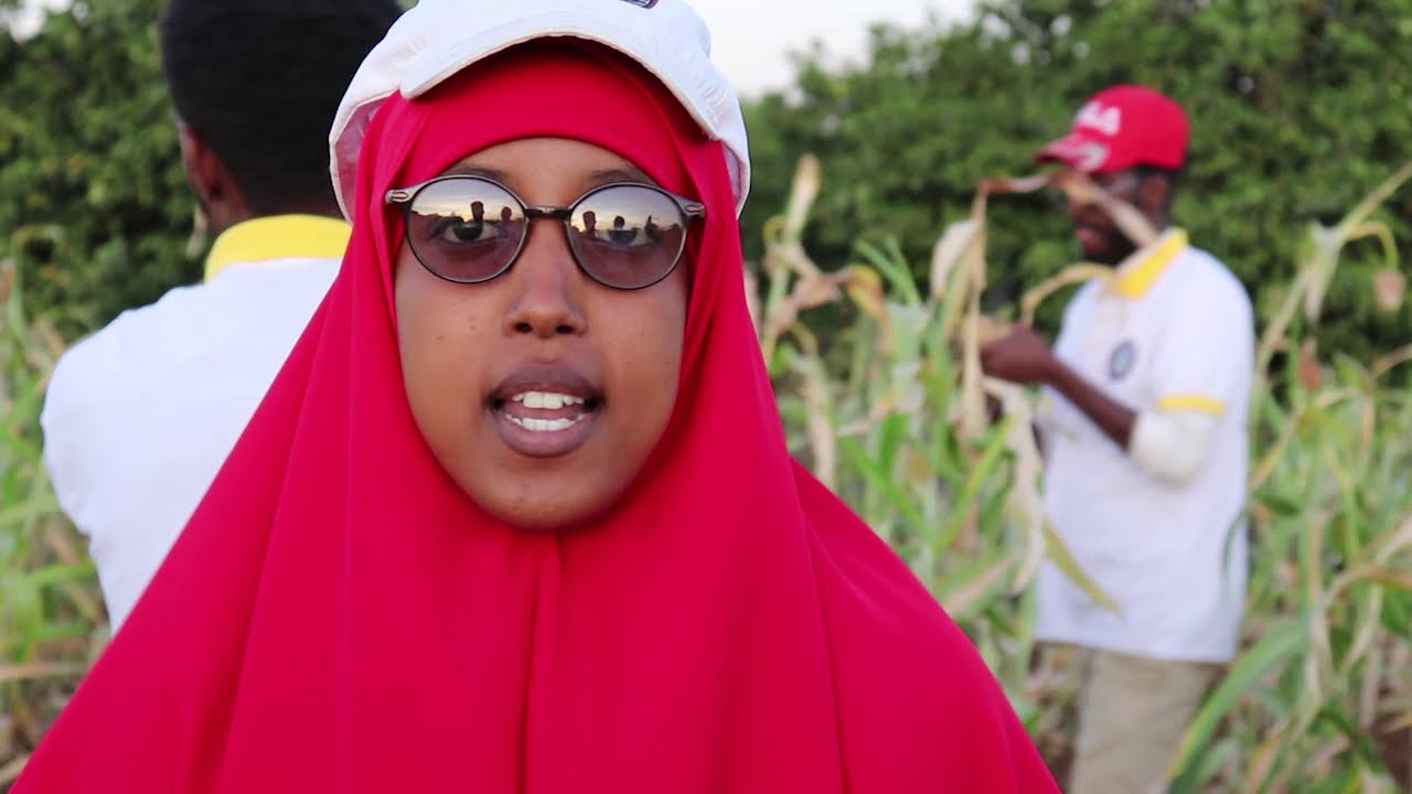 BEERAHA BAYDHABO JANAAY AYAAN AADNEY SI AAN USOO GOOYNO MASAGADII SANADKAN BAXDEY. BY MMC