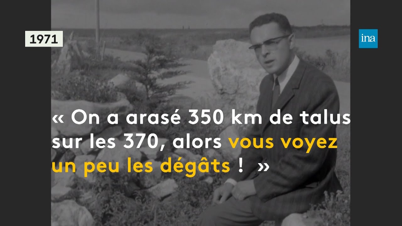 Années 50 - 70 : quand les haies se sont taillées | Franceinfo INA