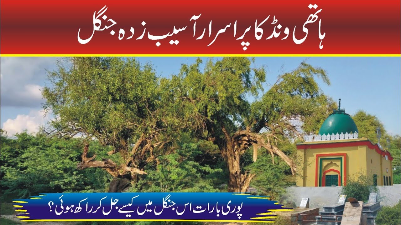Ancient Historical & Mysterious Graveyard In Hathi Wind Village Of District Sargodha #tahirshahvlogs