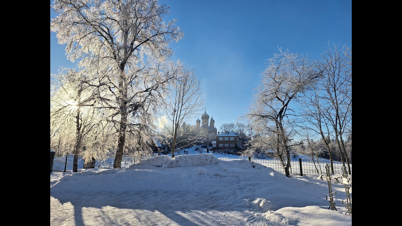 1.02.26. Воскресенье. Литургия. Неделя о мытаре и фарисее. Прп. Макария Великого, Египетского
