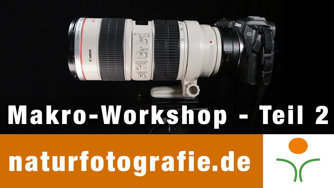 Makrofotografie in der Natur - Teil 2 - Balgen, Umkehrring, Mikroskopadapter und Raynox Linsen