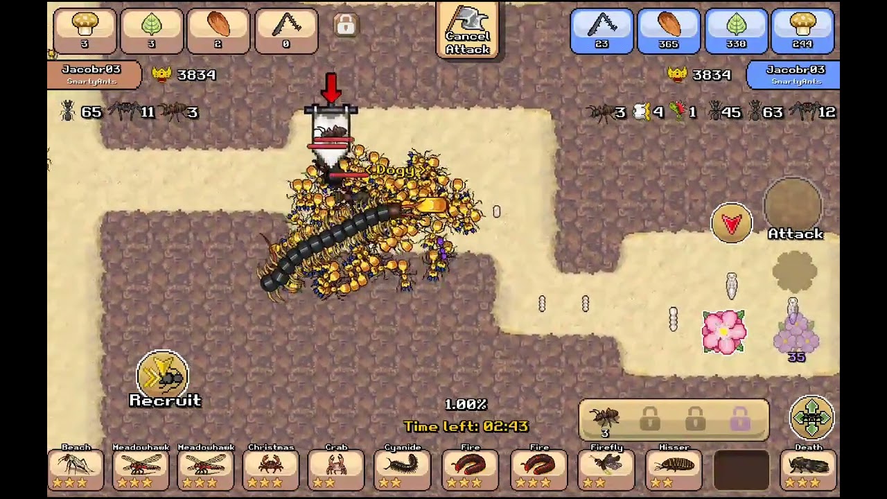 Pocket ants: killer ants or ant revolution against creatures