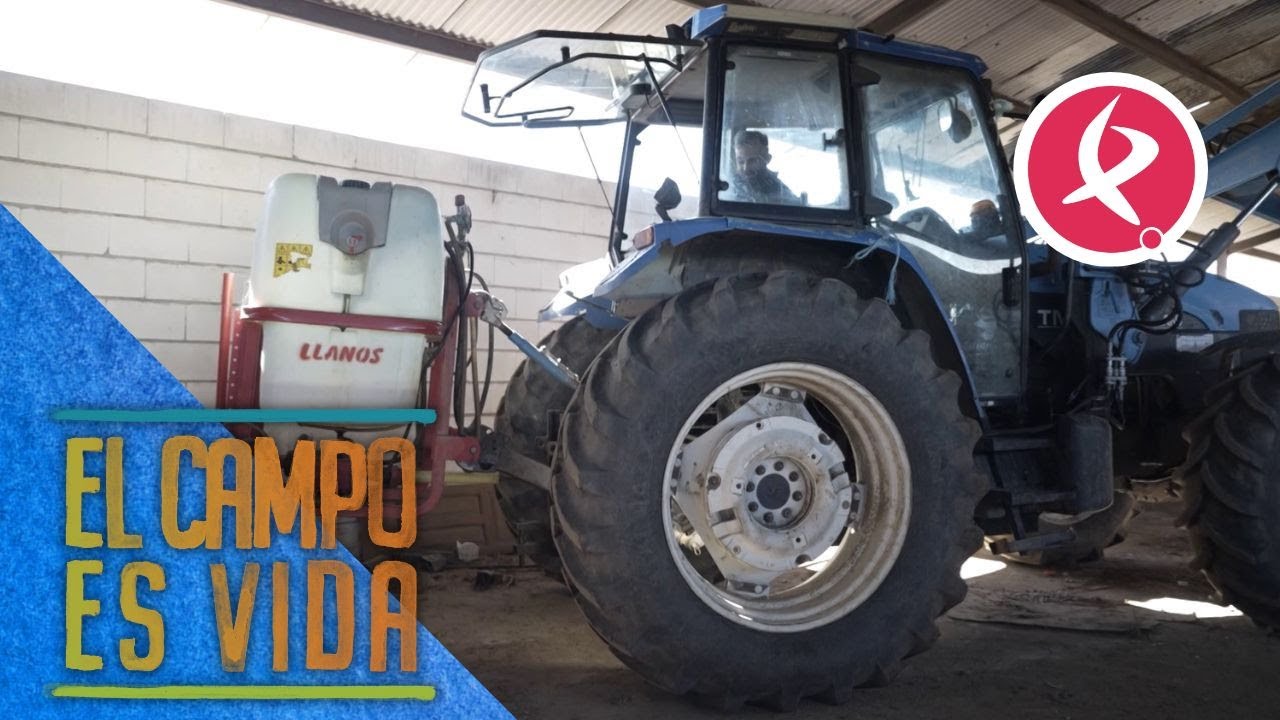 Sergio prepara la barra herbicida para la cura de los olivos | El campo es vida