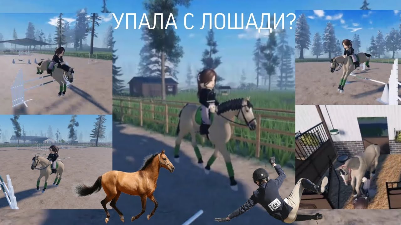 тренеровка с Лоренц/MSE･:*:･