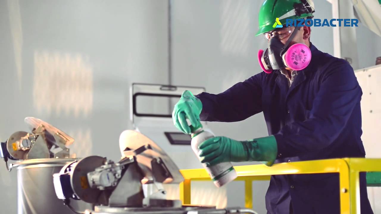 Tratamiento profesional de semillas en origen.