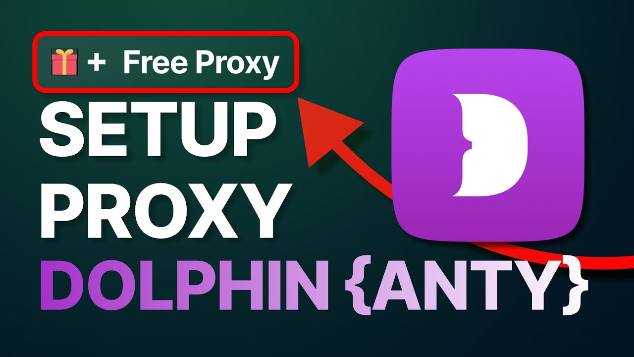 How to Set Up Proxy in Dolphin Anty [+ FREE PROXY GIFT]