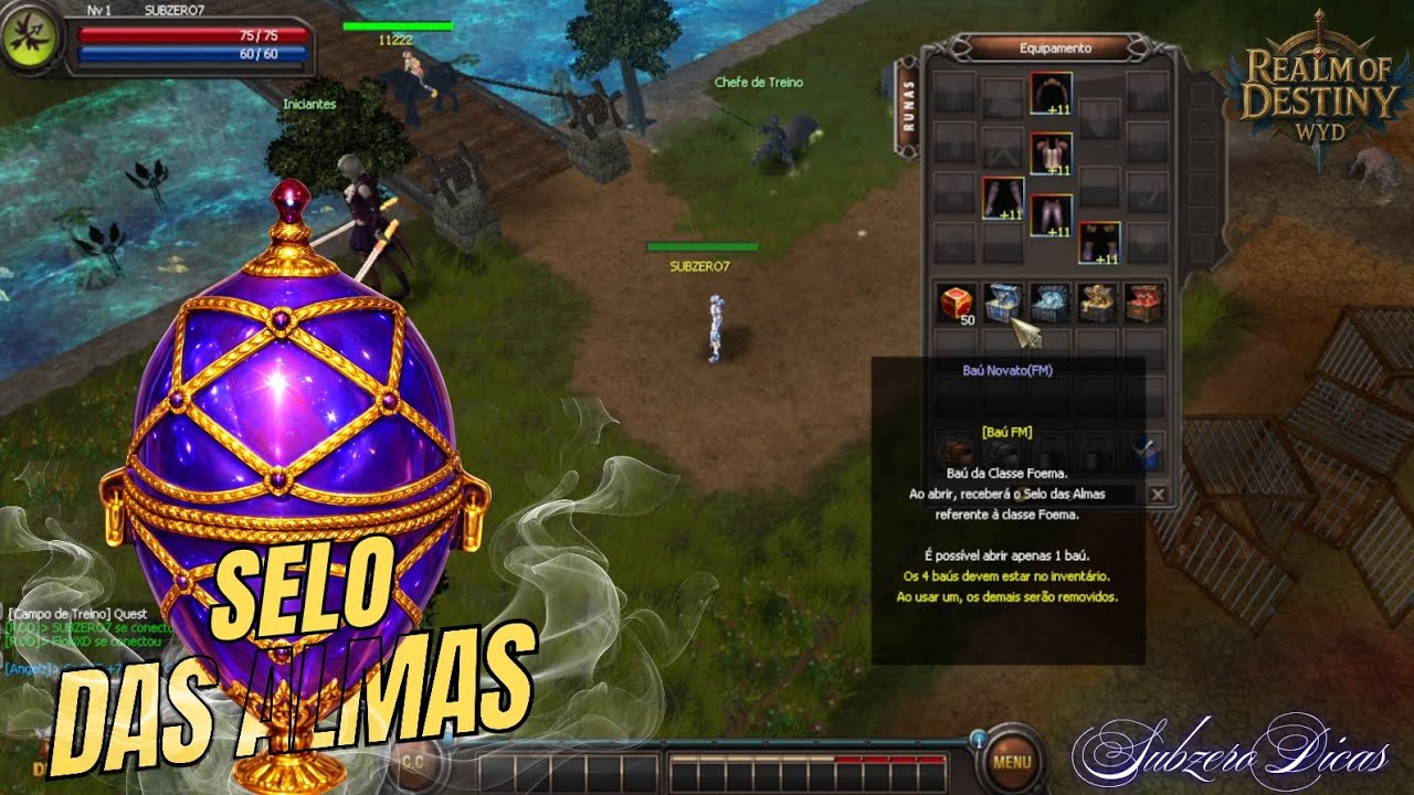 🚀 SELO DAS ALMAS CHEGOU! O Melhor Start para Novatos no WYD | Realm of Destiny