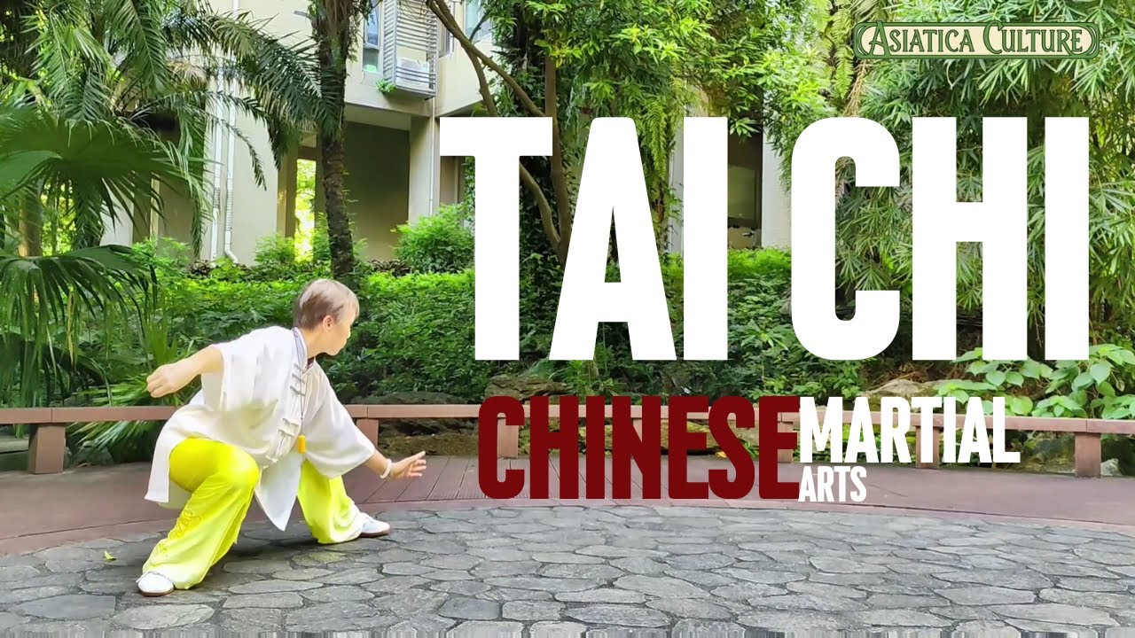 Wudang 28 Tai Chi: Complete Form for Beginners