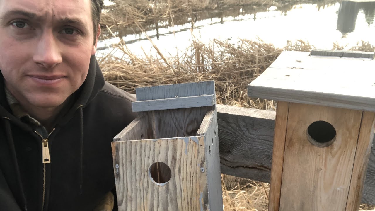 Worst and Best Bird House Design For Regenerative Ag