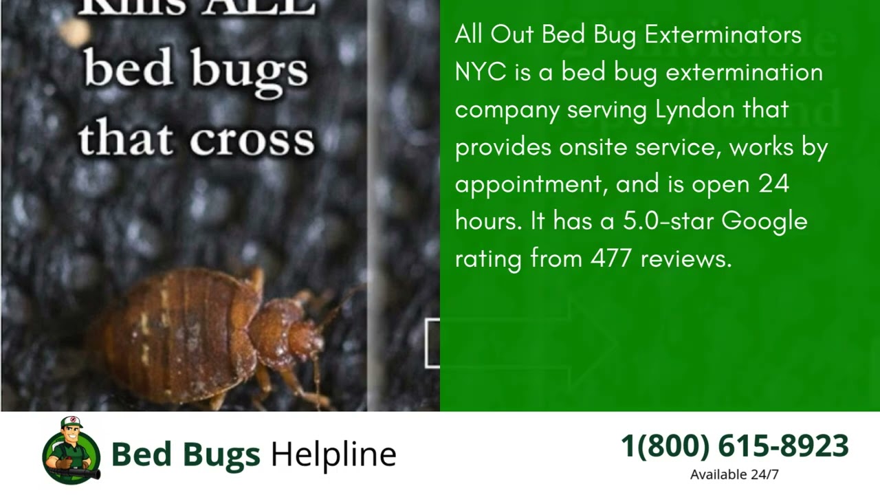 Top 3 Bed Bug Removal in Lyndon